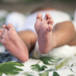 Close up on baby feet on blanket with green leaves.