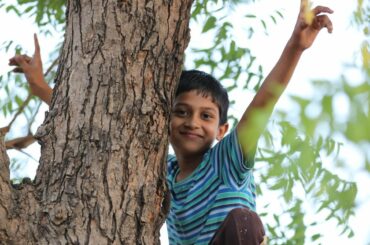 Triumphant boy climbed tree.