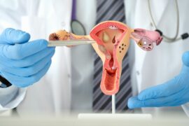 A doctor in blue gloves, white coat and a tie points to a plastic model of ovaries and uterus